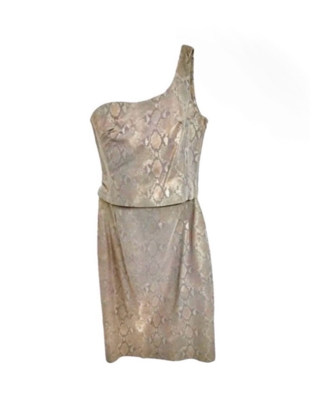 Danier Top One Shoulder Pencil Skirt Soft Leather Iridescent Python/Snakeskin